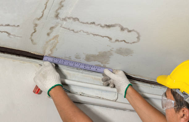 Reliable Mold Remediation contractor in Leslie, MO by Water Damage Irwin